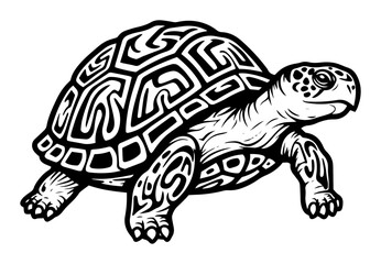 tribal tortoise illustration with decorative shell