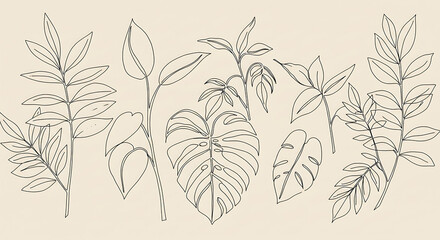 Elegant Line Art Botanical Prints Tropical Leaves and Plants Minimalist Design Nature Illustration