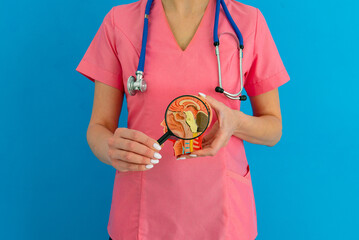 Female doctor with magnifying glass anatomical model human brain. Concept of early diagnosis of...