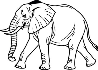 Fototapeta premium Elephant Line Art Cute Animal Vector Design