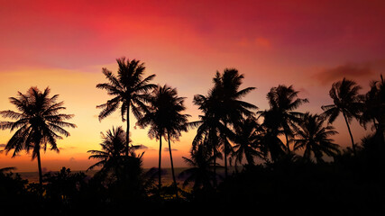 Obraz premium Silhouette of palm trees at sunset. Silhouette palm tree at tropical beach background