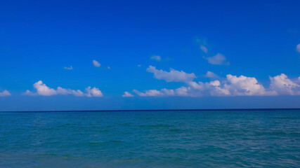 The summer vacation background with Nature on the beach and sea  blue water  summer