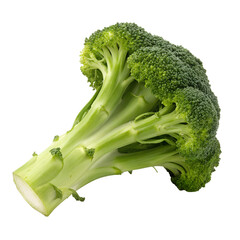 Fresh green broccoli healthy vegetable isolated on transparent background.