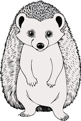 Fototapeta premium Woodland Animals SVG Illustrations funny Animals Handmade scribbles cat