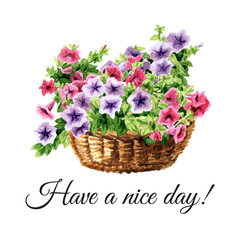 Rustic composition with flowers, greeting card. Hand drawn watercolor illustration isolated on white background