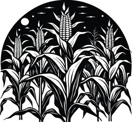 corn field vector