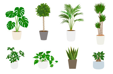 Obraz premium 観葉植物のセット