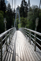 Fototapeta premium Suspension Footbridge in Forest with Wooden Planks and Steel Cables in Natural Light.