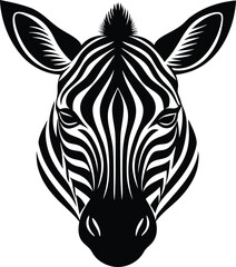 zebra vector illustration