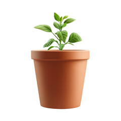 Obraz premium Young plant in terracotta pot new life growth nature spring