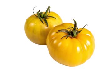 Two yellow tomatoes isolated on transparent background