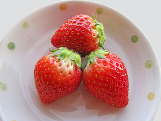 Multiple hefty strawberries on a white plate