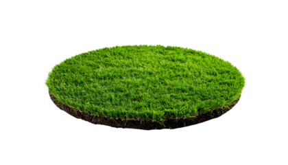 Green grass ball on white background
