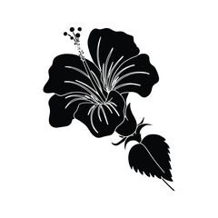 Hibiscus flower icon. Ornamental Plants for Home Garden.