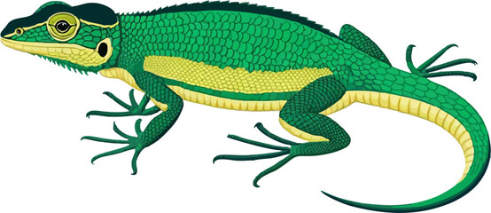 Anole vektor flat vector illustration