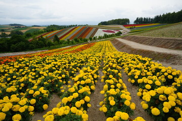 Scenic Views from Hokkaido, Japan &ndash; Nature, Flowers, and Landmarks.A collection of beautiful photographs taken during a trip to Hokkaido, Japan. Featuring landscapes, lavender fields, waterfalls, hot 