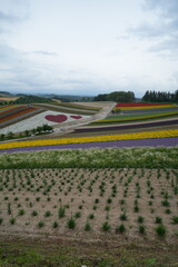 Scenic Views from Hokkaido, Japan &ndash; Nature, Flowers, and Landmarks.A collection of beautiful photographs taken during a trip to Hokkaido, Japan. Featuring landscapes, lavender fields, waterfalls, hot 