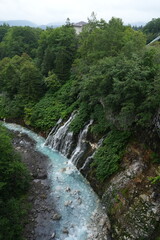 Scenic Views from Hokkaido, Japan – Nature, Flowers, and Landmarks.A collection of beautiful photographs taken during a trip to Hokkaido, Japan. Featuring landscapes, lavender fields, waterfalls, hot 