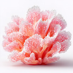 Abstract Pink Coral Sculpture Design