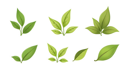 Green leaf, Leaf icon, Leaf vector, Green leaf illustration, Nature leaf, Eco leaf, Organic leaf, Fresh leaf, Realistic green leaf, Flat leaf design, Minimal leaf icon, Leaf silhouette, Leaf outline, 