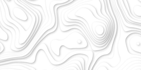 Abstract wavy line 3d paper cut white background. white and gray luxury grid topography map and satin smooth wallpaper matt paper light texture. White waves decorative papercut design.