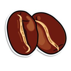 Vector illustration of coffee beans isolated on white background