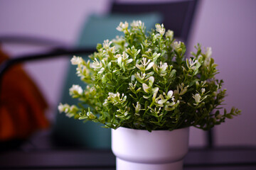 White plastic flowers placed on the table