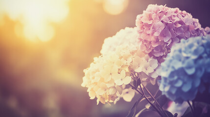 watercolor botanical Hydrangea flowers texture template background.Elegant wedding invitation card background . Minimal hand painted Design for wedding or Valentine's Day