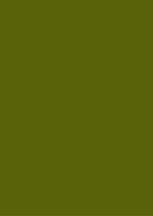 Olive Green Background Texture