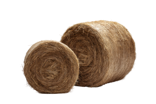 Two round hay bales in studio setting isolated on black background, cut out