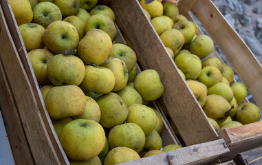 Crate of apples is piled high in a wooden crate. The apples are ripe and ready to be eaten