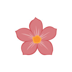 Delicate Pink Flower Blossom A Simple Floral Illustration