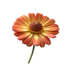  helenium flower PNG 