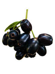 black olives with leaves, jambolan plum, black plum, png