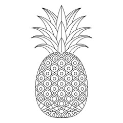 Obraz premium That is a pineapple 