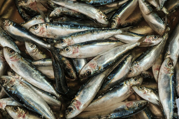 Fish sprats at the fish market. Fresh organic fish.	