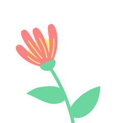 Illustration Flower Hand Drawn