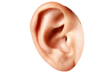 Human ear close up isolated on a white background png ai generated