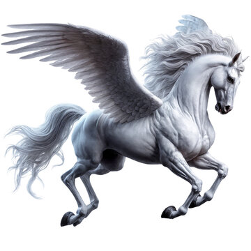 Pegaso fondo transparente