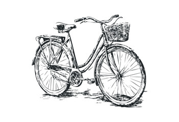 Obraz premium Vintage bicycle sketch detailed drawing with basket. Vector retro hand drawn illustration