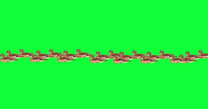 4K Group of Ducks Floating Animation Green Screen - Chroma Key Birds Swimming Video Loop for Nature, Kids & VFX - Realistic Waterfowl Wildlife Footage