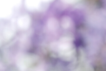 Abstract blur light gradient purple soft pastel color wallpaper background.