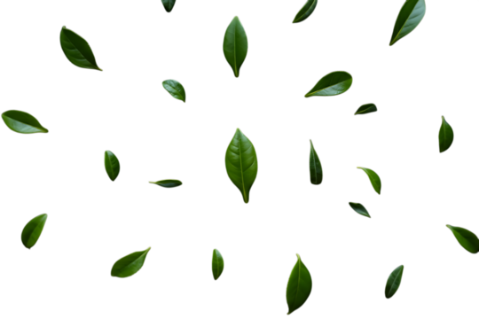 green leaves background