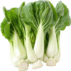 Fresh Bok Choy Vegetable Grouping, Healthy Eating Ingredient