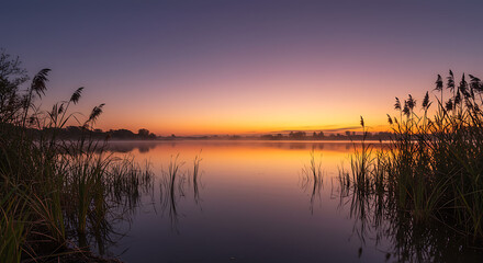 Obraz premium Serene Sunrise over Calm Lake with Reeds Misty Atmosphere Golden Hour