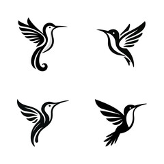 Fototapeta premium Colibri hummingbird logo icon design