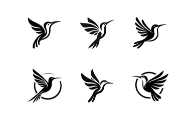 Fototapeta premium Colibri hummingbird logo icon design