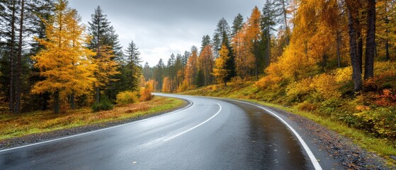 Fototapeta premium A winding road through a forest with autumn foliage and wet pavement under a cloudy sky.