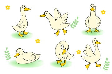 Hand-Drawn Cartoon Ducks in Various Poses Set Cute Animal Illustration for Kids and Design
