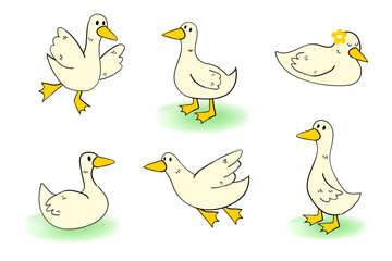 Hand-Drawn Cartoon Ducks in Various Poses Set Cute Animal Illustration for Kids and Design